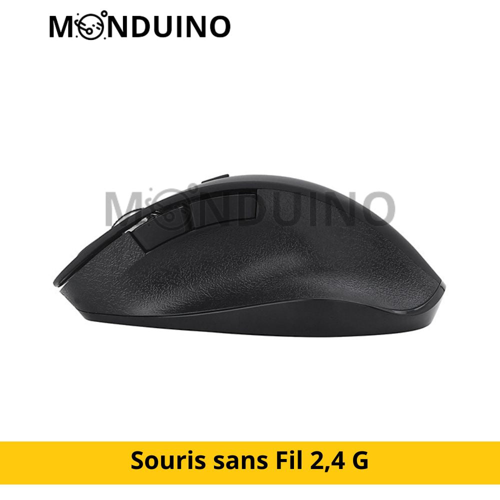 Souris sans Fil 2,4 G pour Ordinateur Portable, Souris USB – MONDUINO