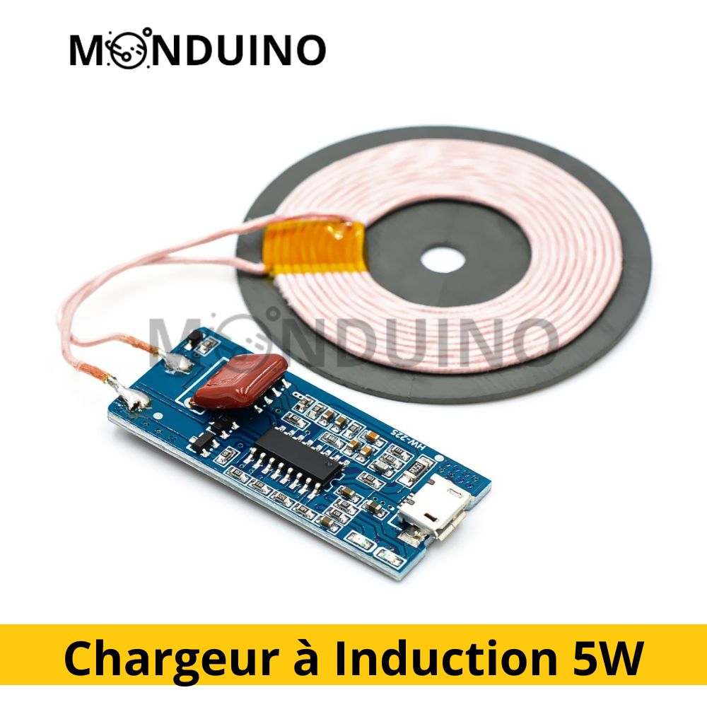 Chargeur à Induction universel 5V 1A Micro USB Téléphone Module DIY bobine 5W