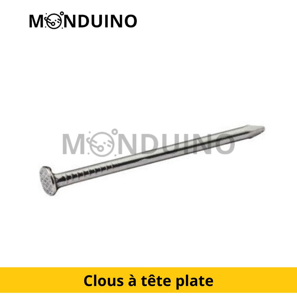 Clous à tête plate en acier galvanisé 1,8x25 - 60g