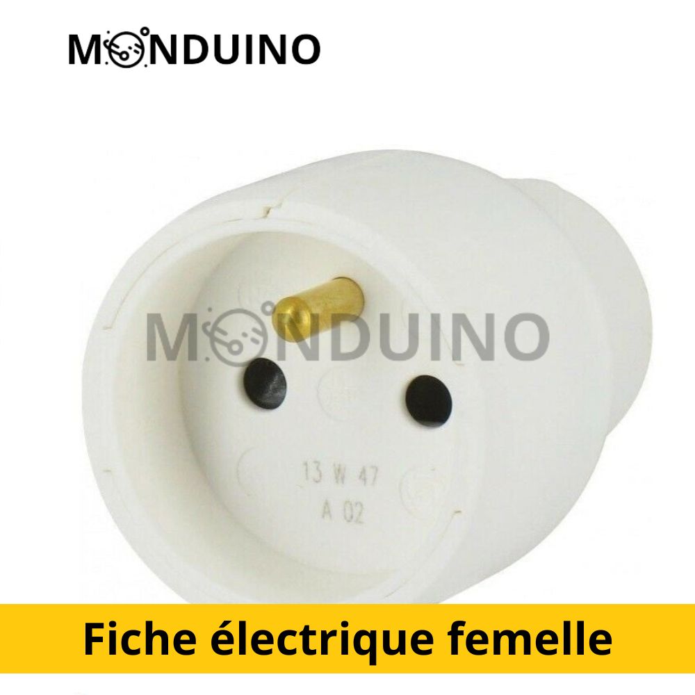 Fiche électrique femelle secteur 220v 6A