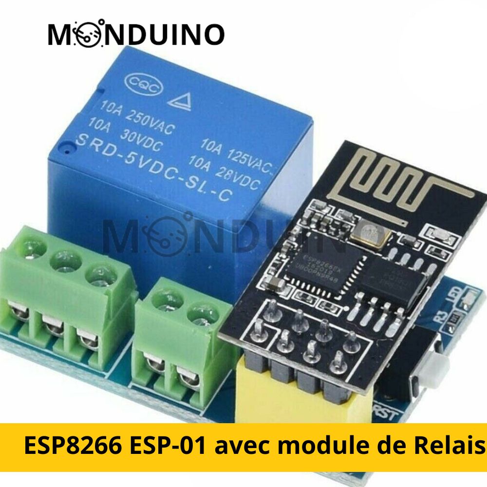 ESP8266 ESP-01 avec module de Relais