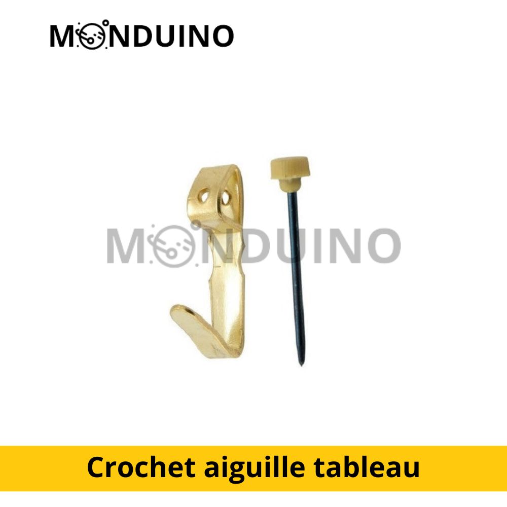 Lot 5 Crochets Hauteur 25mm + Aiguilles Pour Tableaux Et Cadres Légers – Support