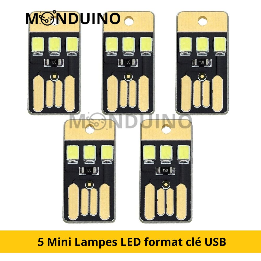 Lot de 5 Mini Lampe LED format clé USB porte clé Lumière blanche